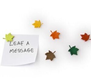 Magnety Qualy Leaf a Message